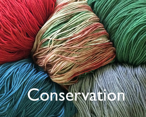 Conservation (DK)